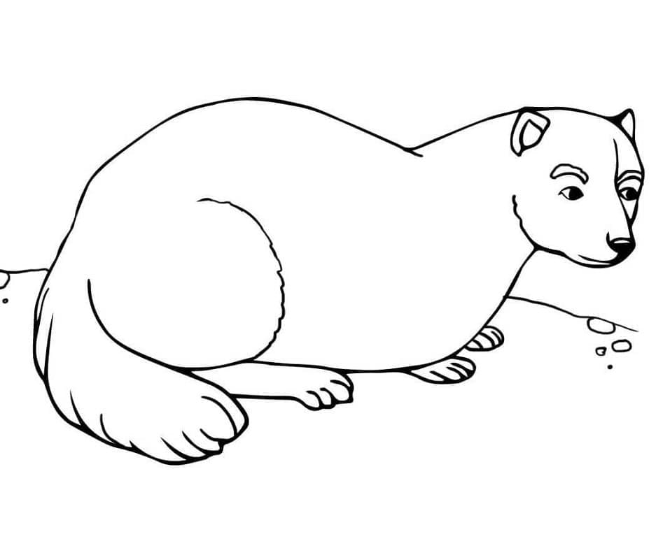 Furet 7 coloring page