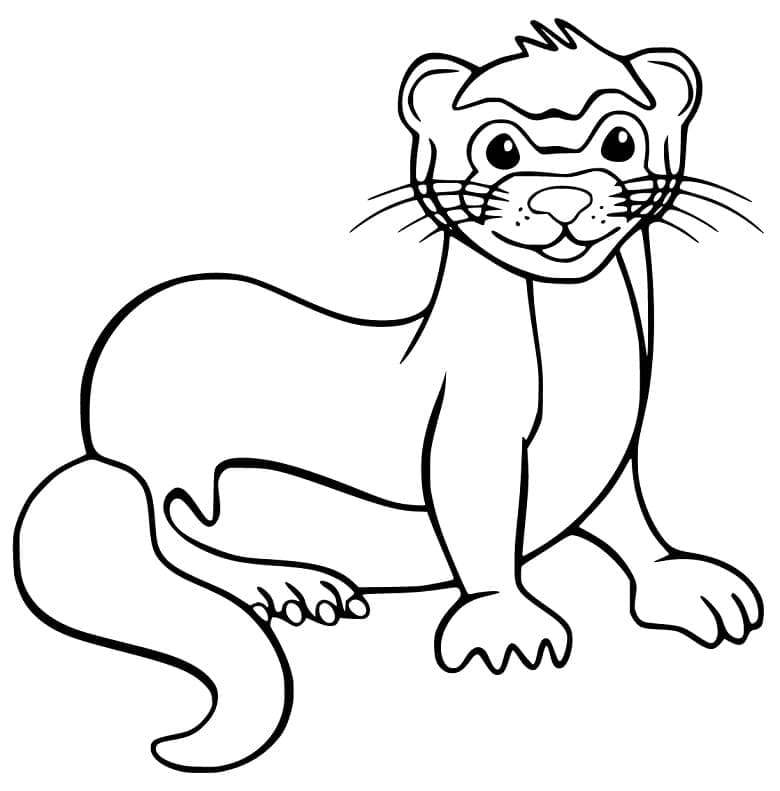 Furet 8 coloring page