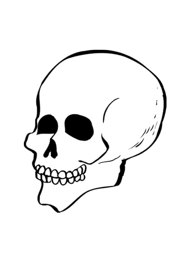 Coloriage Image de Crâne