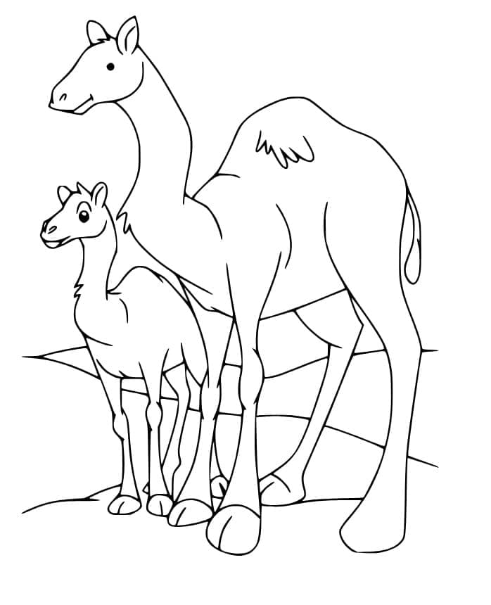 Mère et Bébé Chameau coloring page