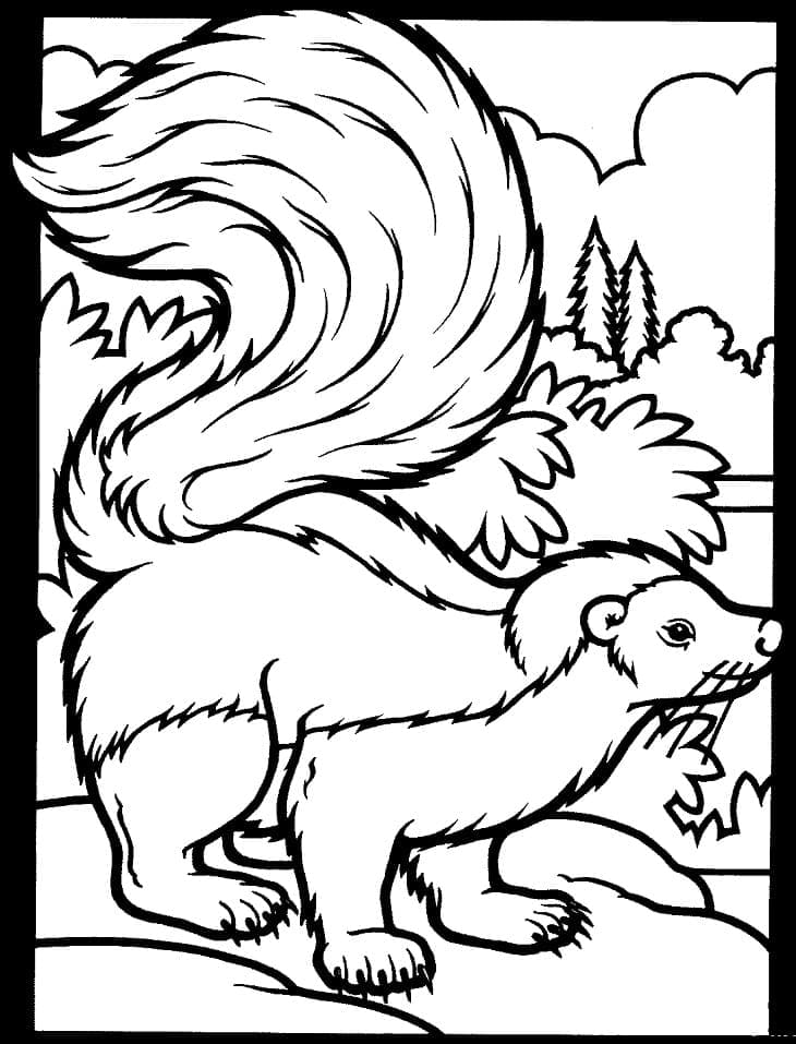 Mouffette Sauvage coloring page