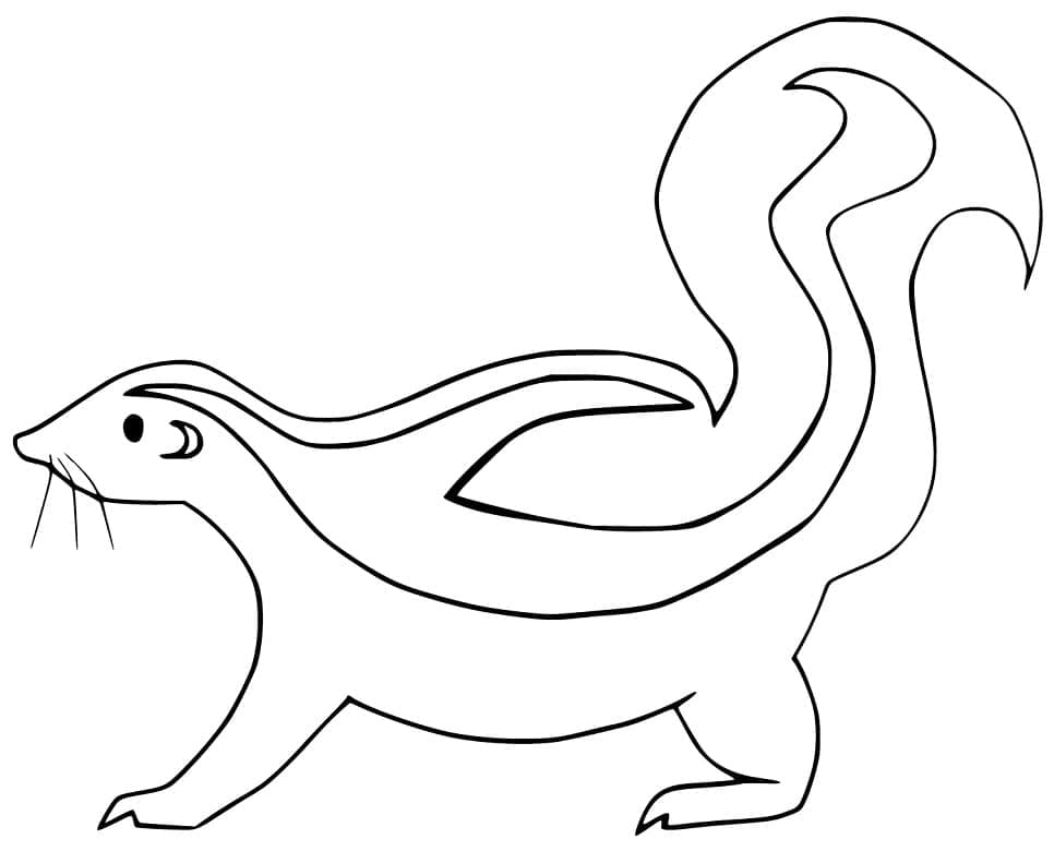 Mouffette Simple coloring page