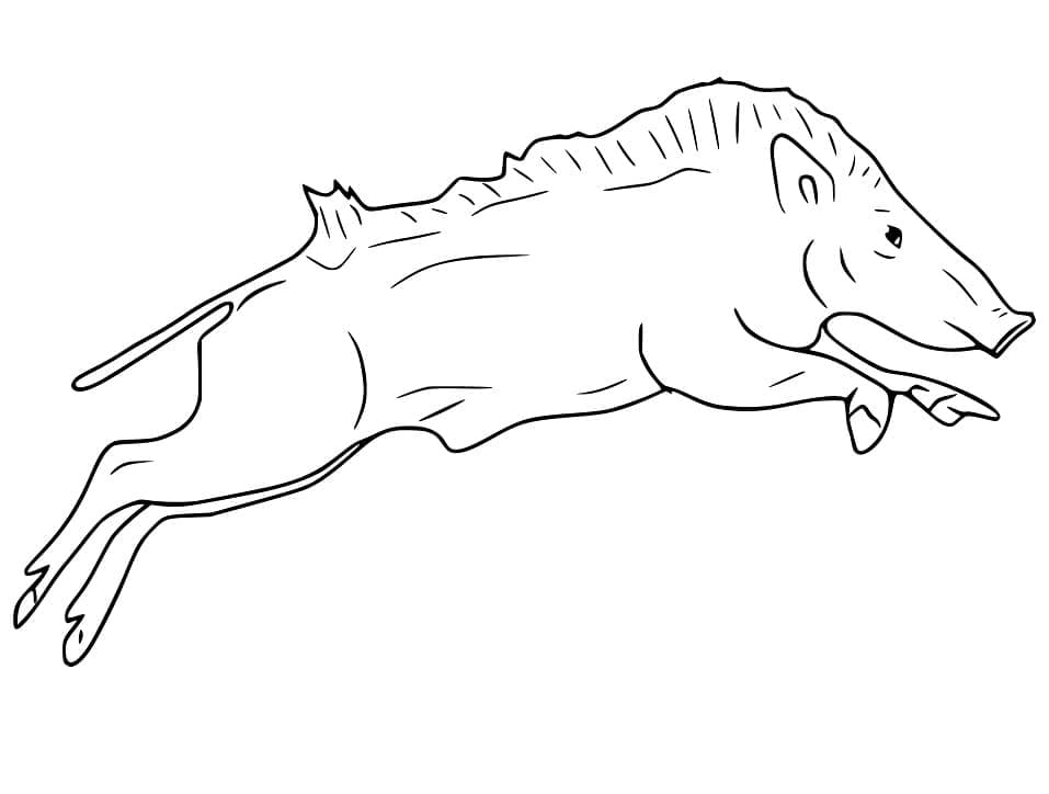 Sanglier 2 coloring page