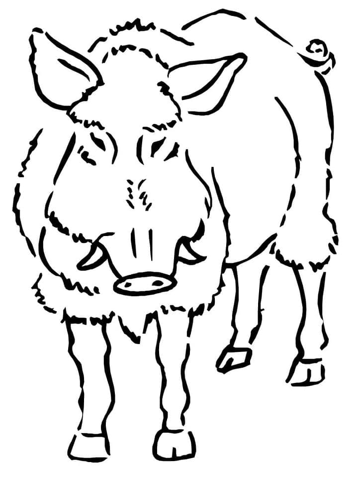 Sanglier 3 coloring page