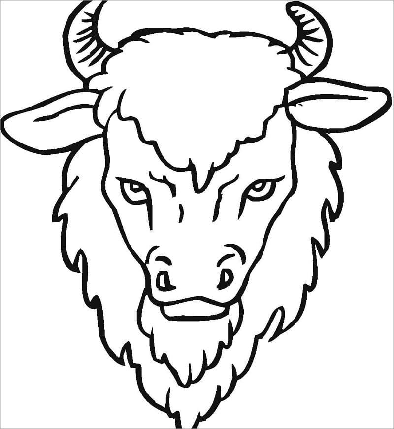 Tête de Bison coloring page