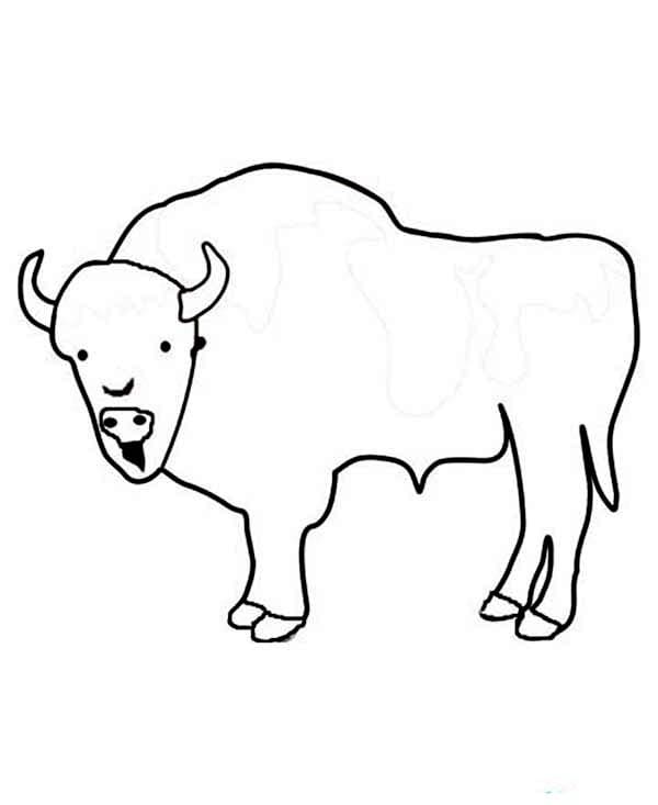 Un Bison Facile coloring page