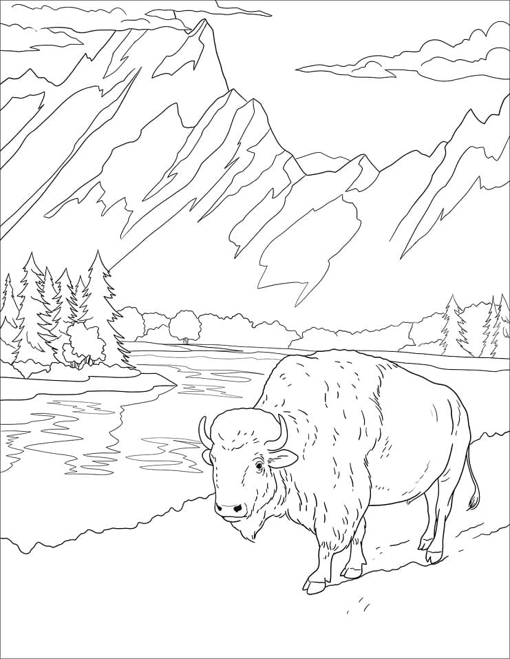Un Bison Sauvage coloring page