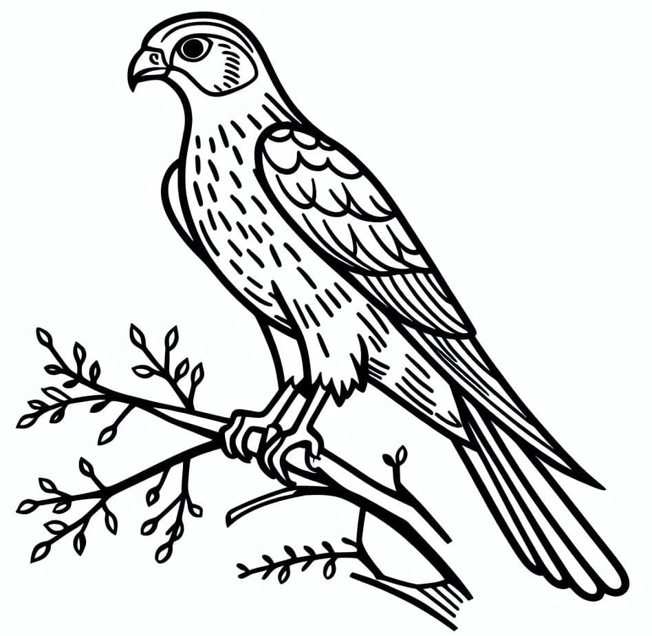 Un Faucon dans l’Arbre coloring page