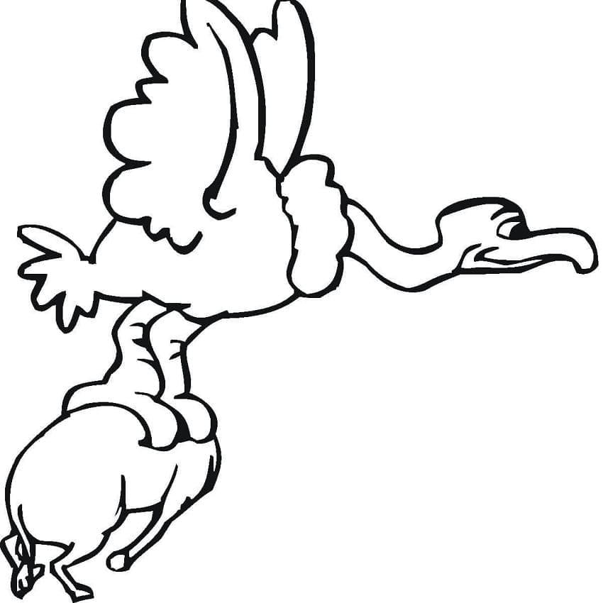 Vautour Imprimable coloring page