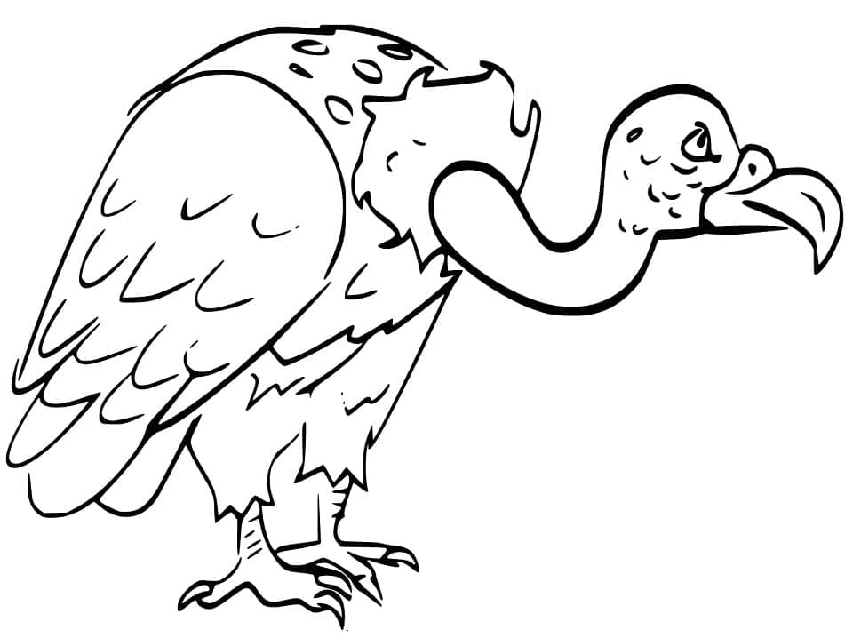 Vautour Normal coloring page
