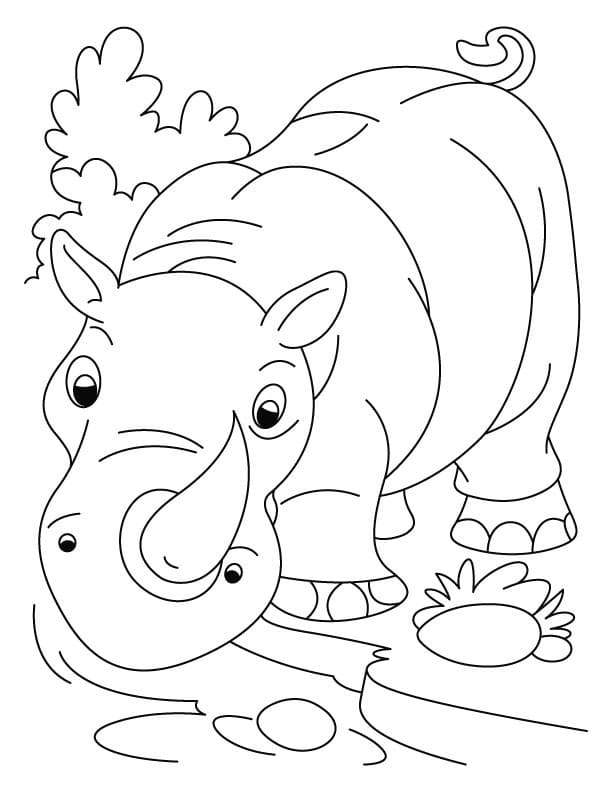 Adorable Rhinocéros coloring page