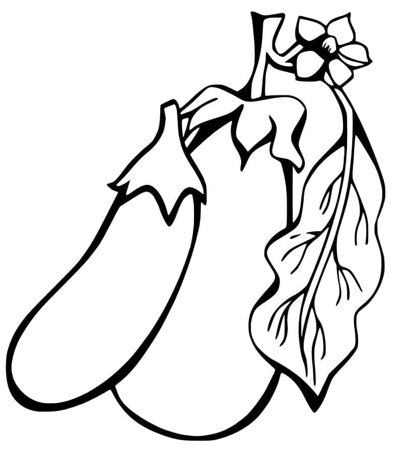 Aubergines coloring page