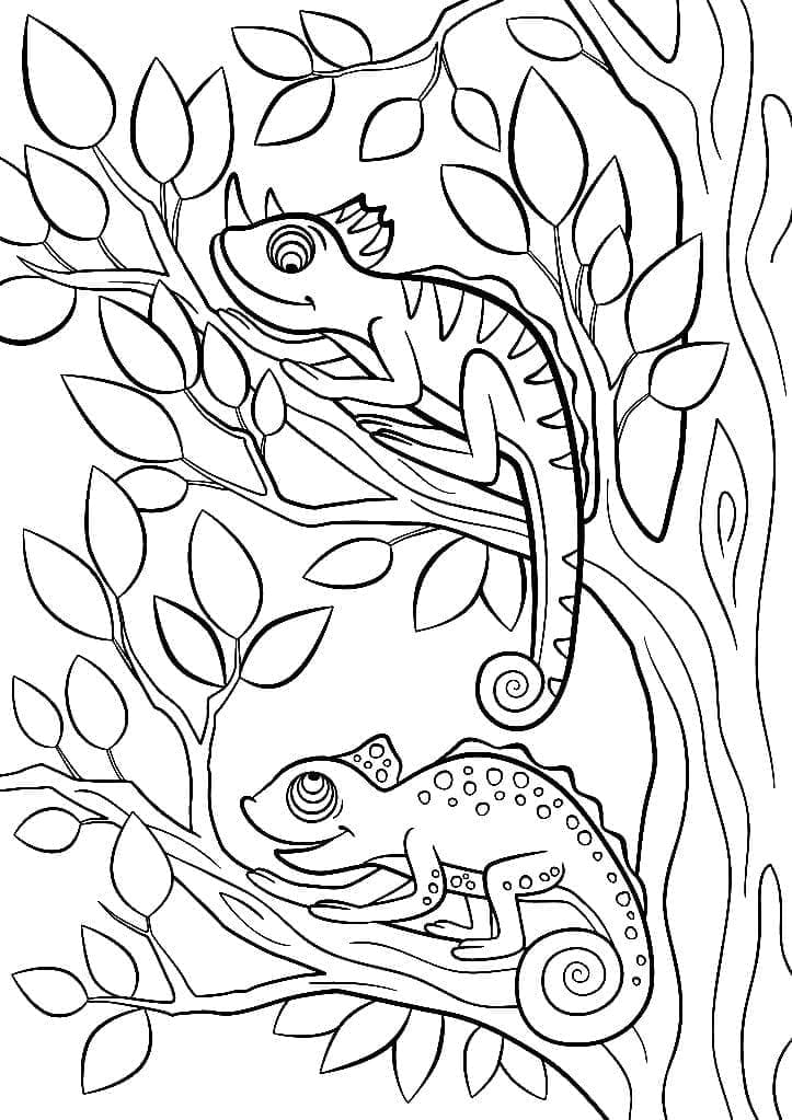 Coloriage Caméléons dans l'arbre