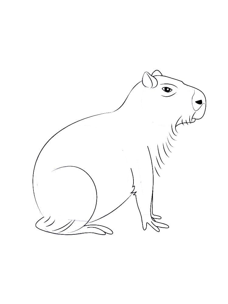 Coloriage Capybara Assis