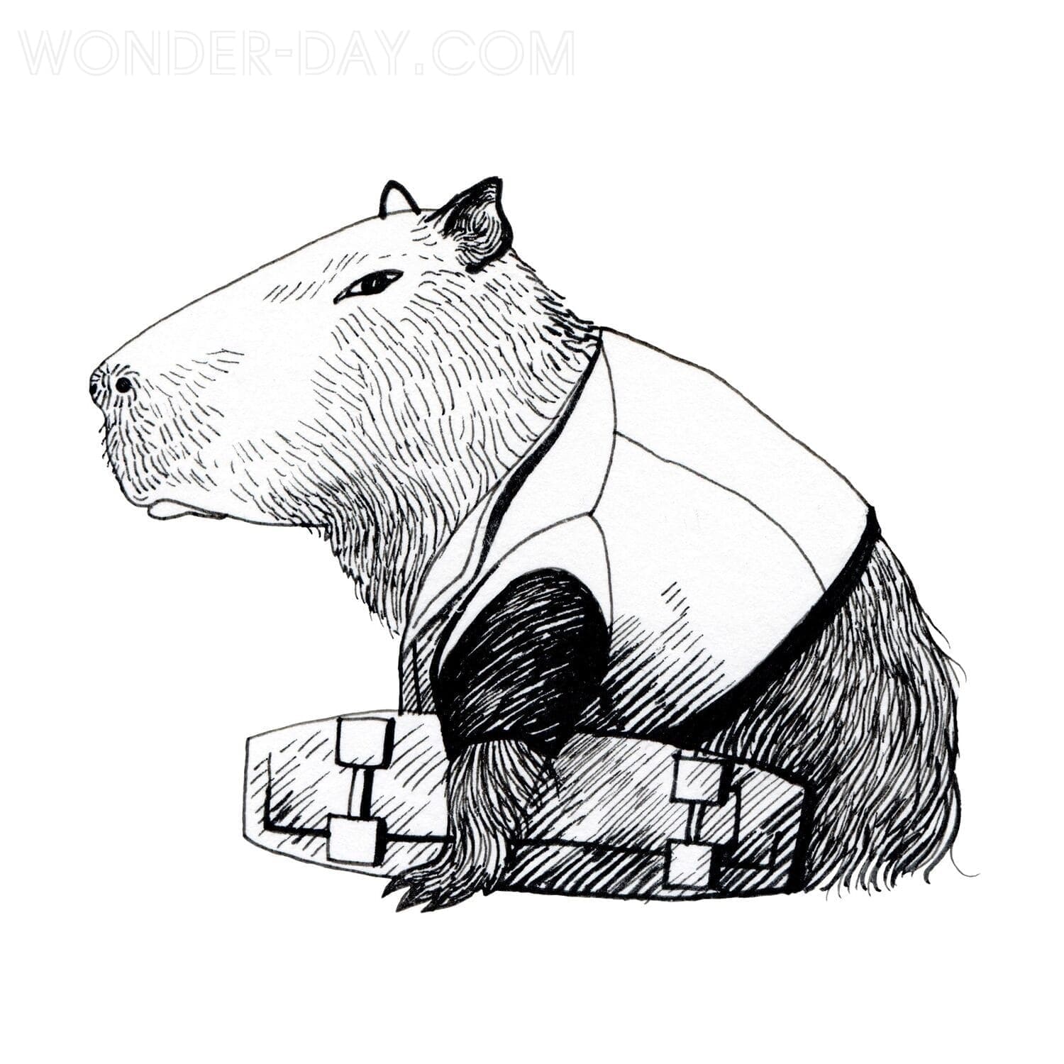 Capybara et Planche à Roulettes coloring page