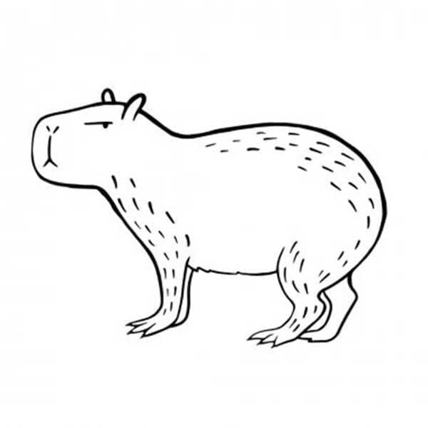 Coloriage Capybara Grincheux