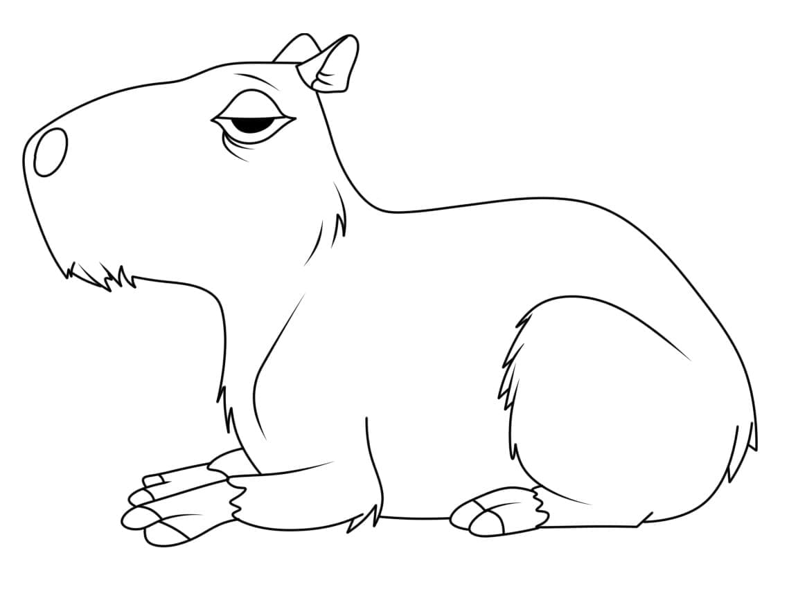 Capybara Paresseux coloring page