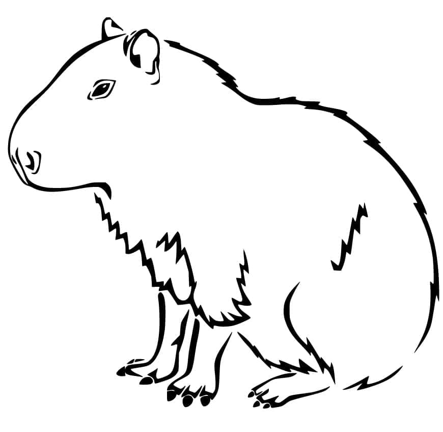 Capybara Pour Enfants coloring page