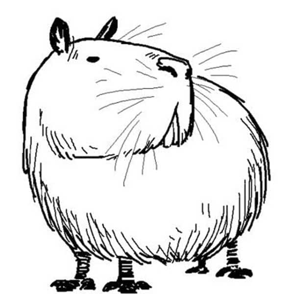Capybara Pour les Enfants coloring page