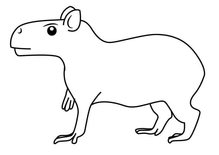Capybara Simple coloring page