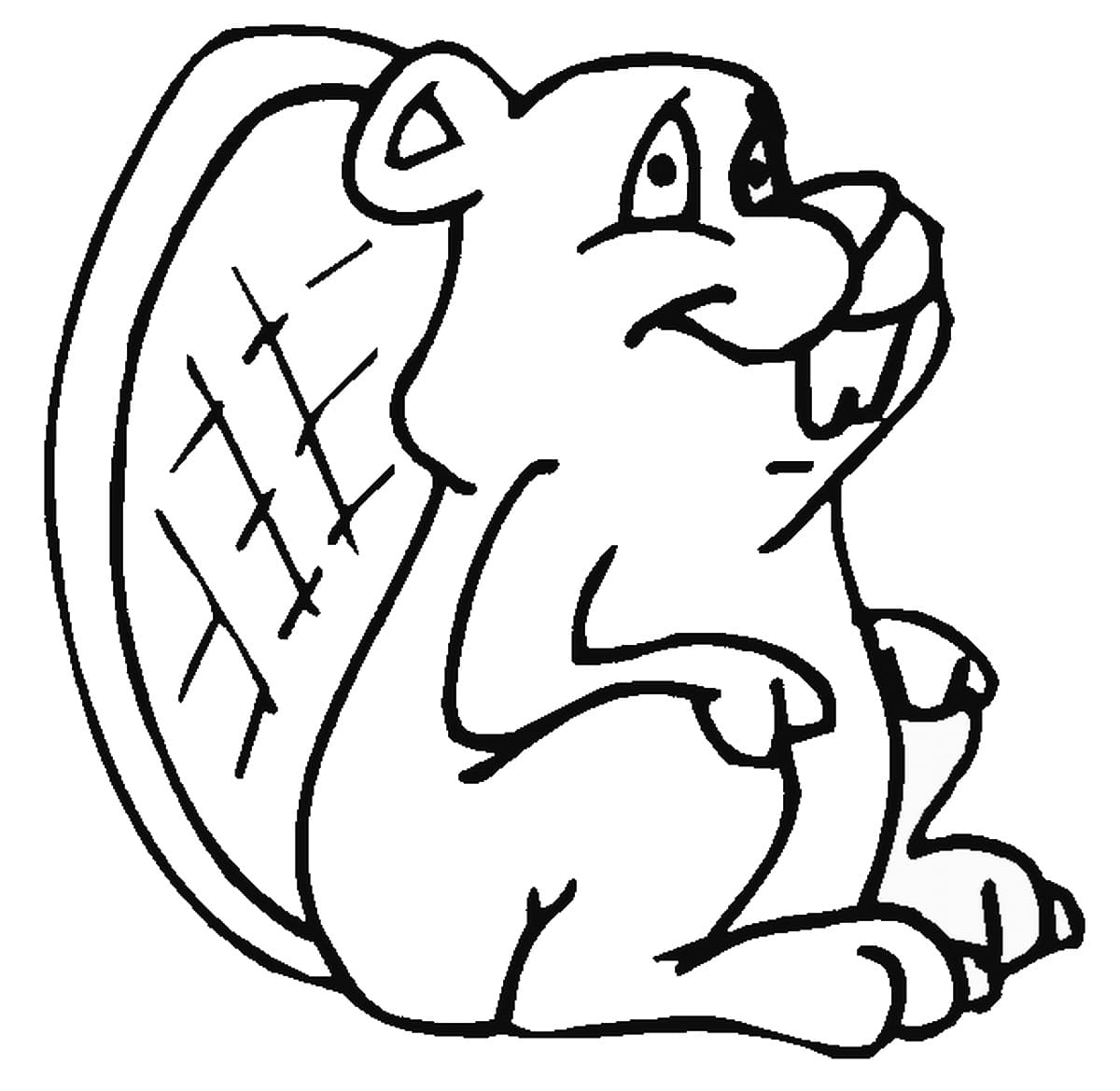 Castor Souriant coloring page