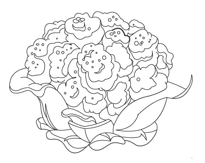 Chou-fleur 1 coloring page