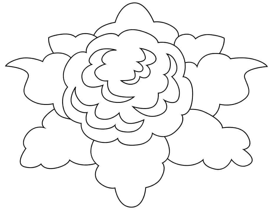 Coloriage Chou-fleur Simple