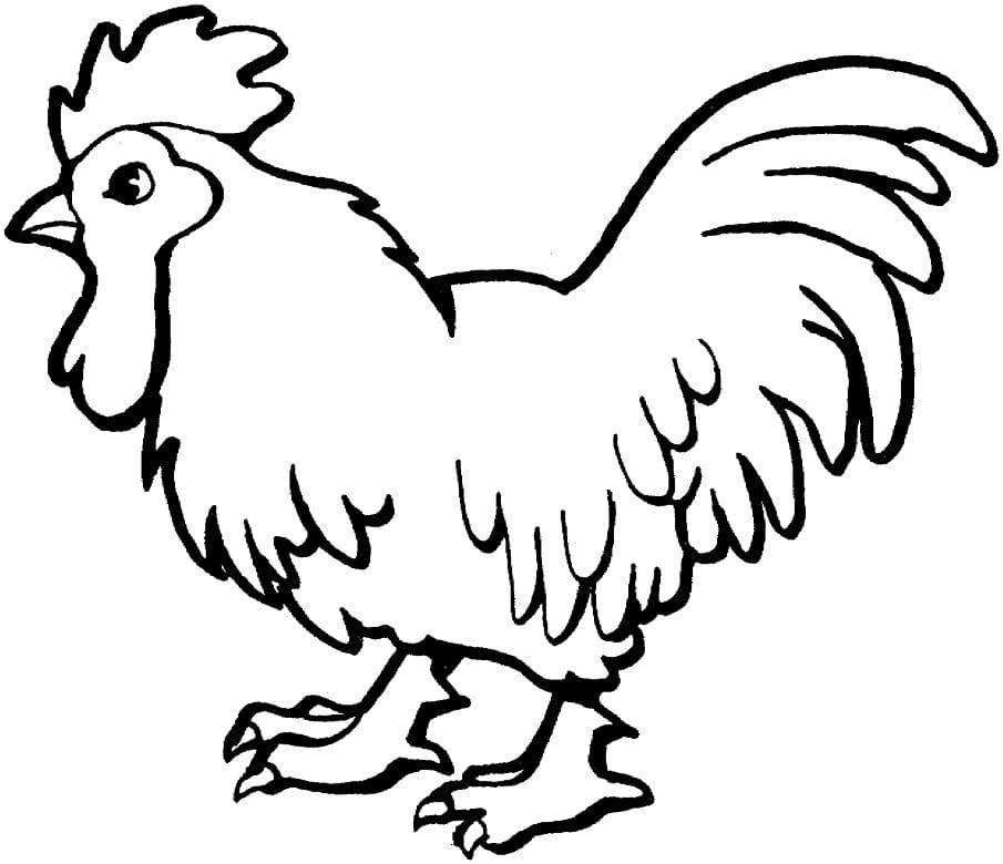 Coq 1 coloring page
