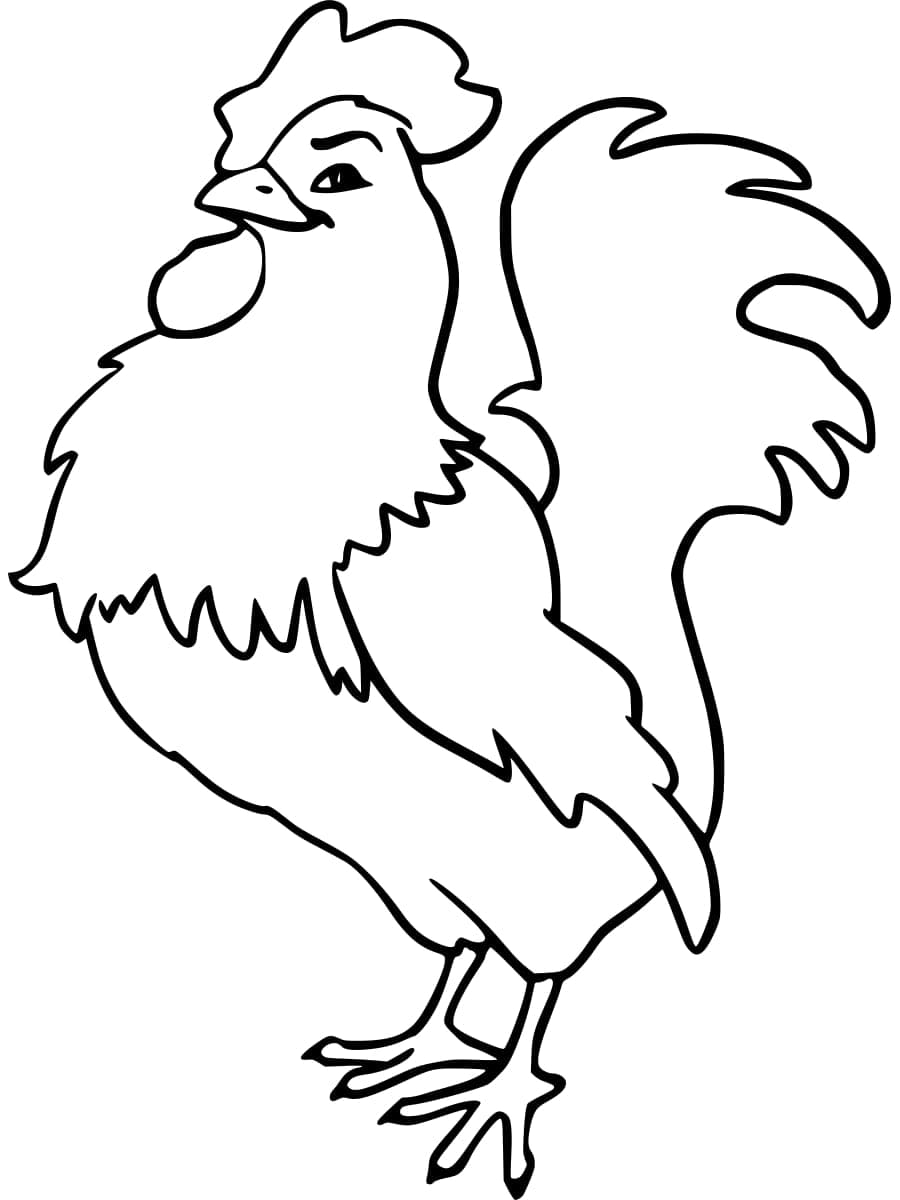 Coq Incroyable coloring page