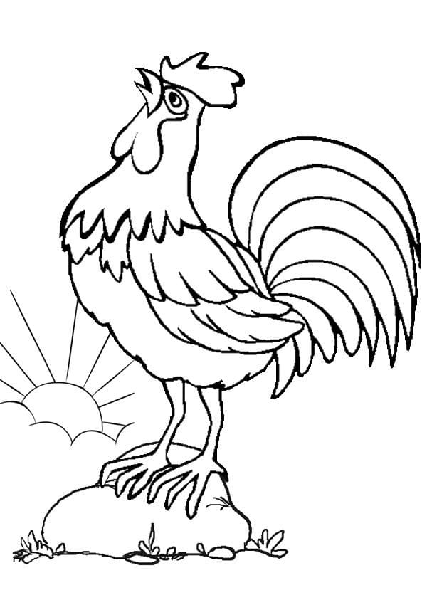 Coq le Matin coloring page