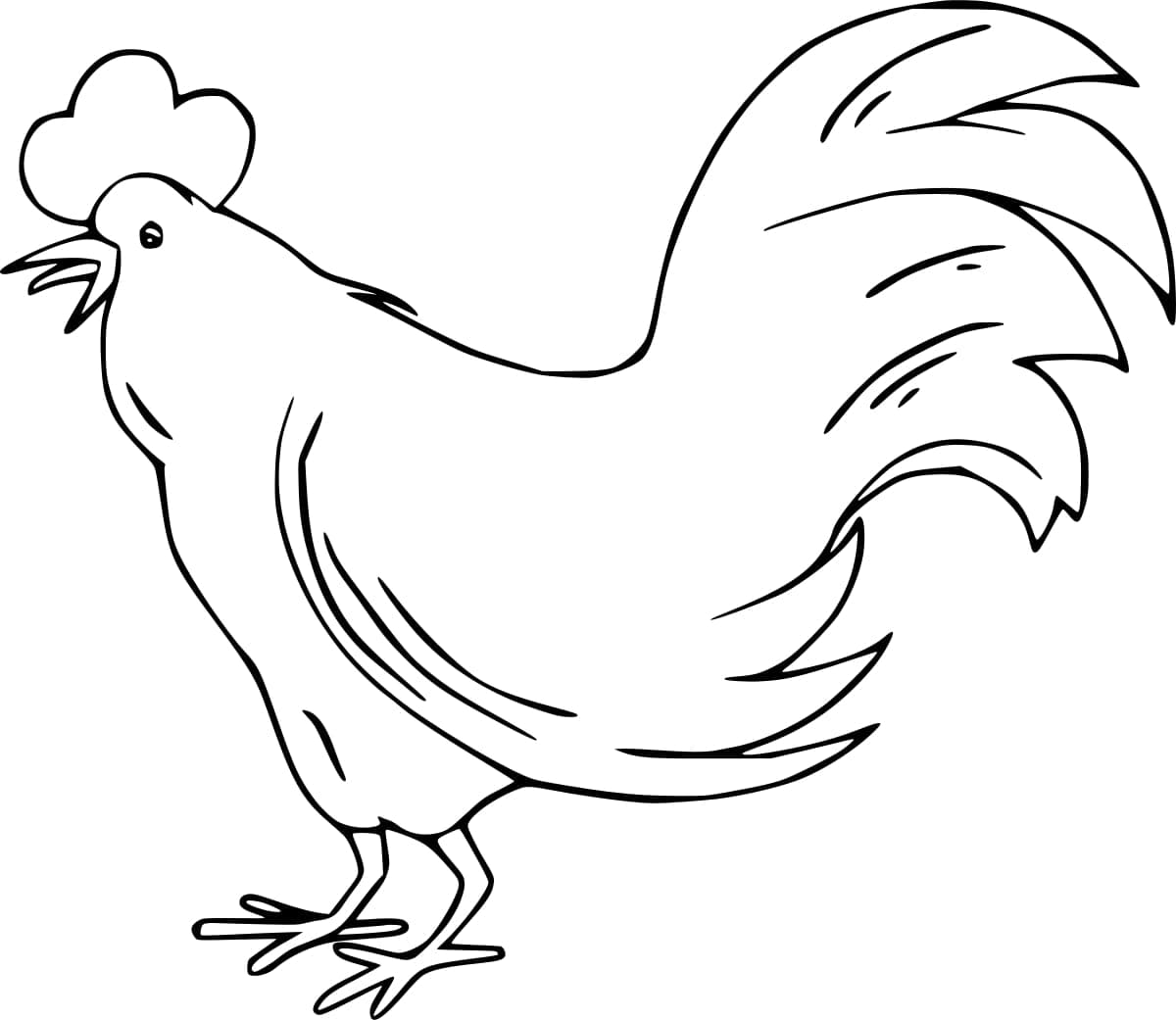 Coq Simple coloring page