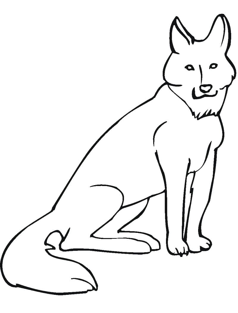 Coloriage Coyote Assis