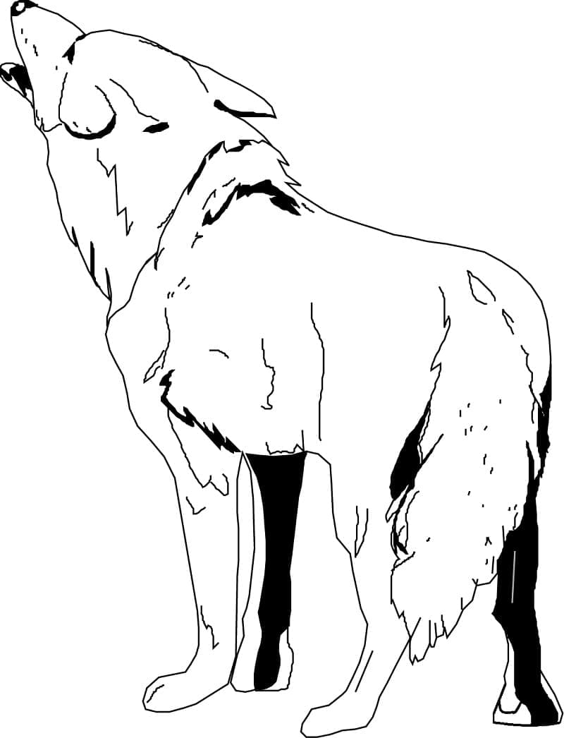 Coyote Gratuit coloring page