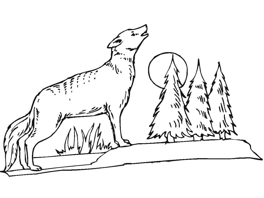 Coyote Normal coloring page