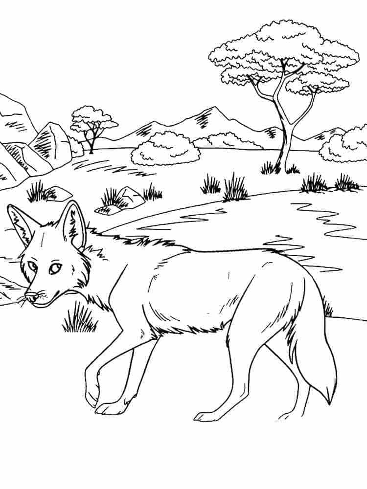 Coyote Ordinaire coloring page