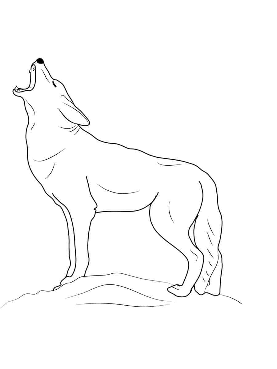 Coloriage Coyote Simple