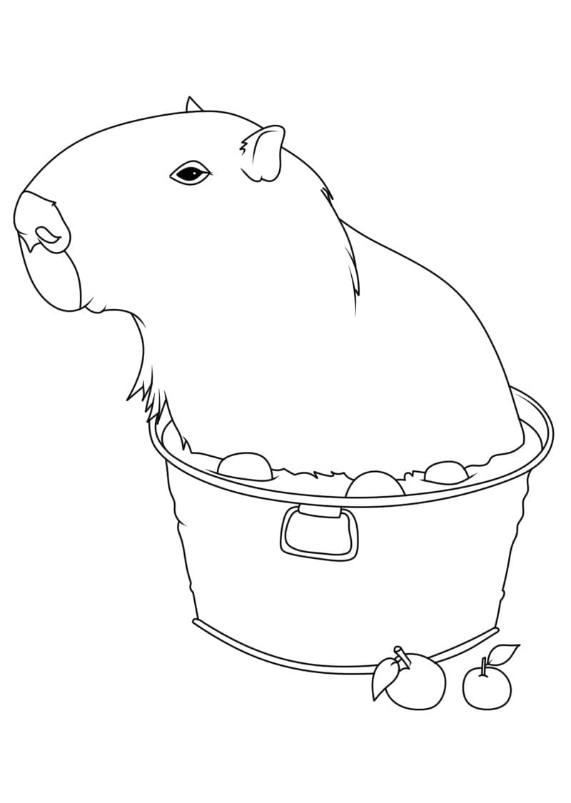 Dessin de Capybara coloring page