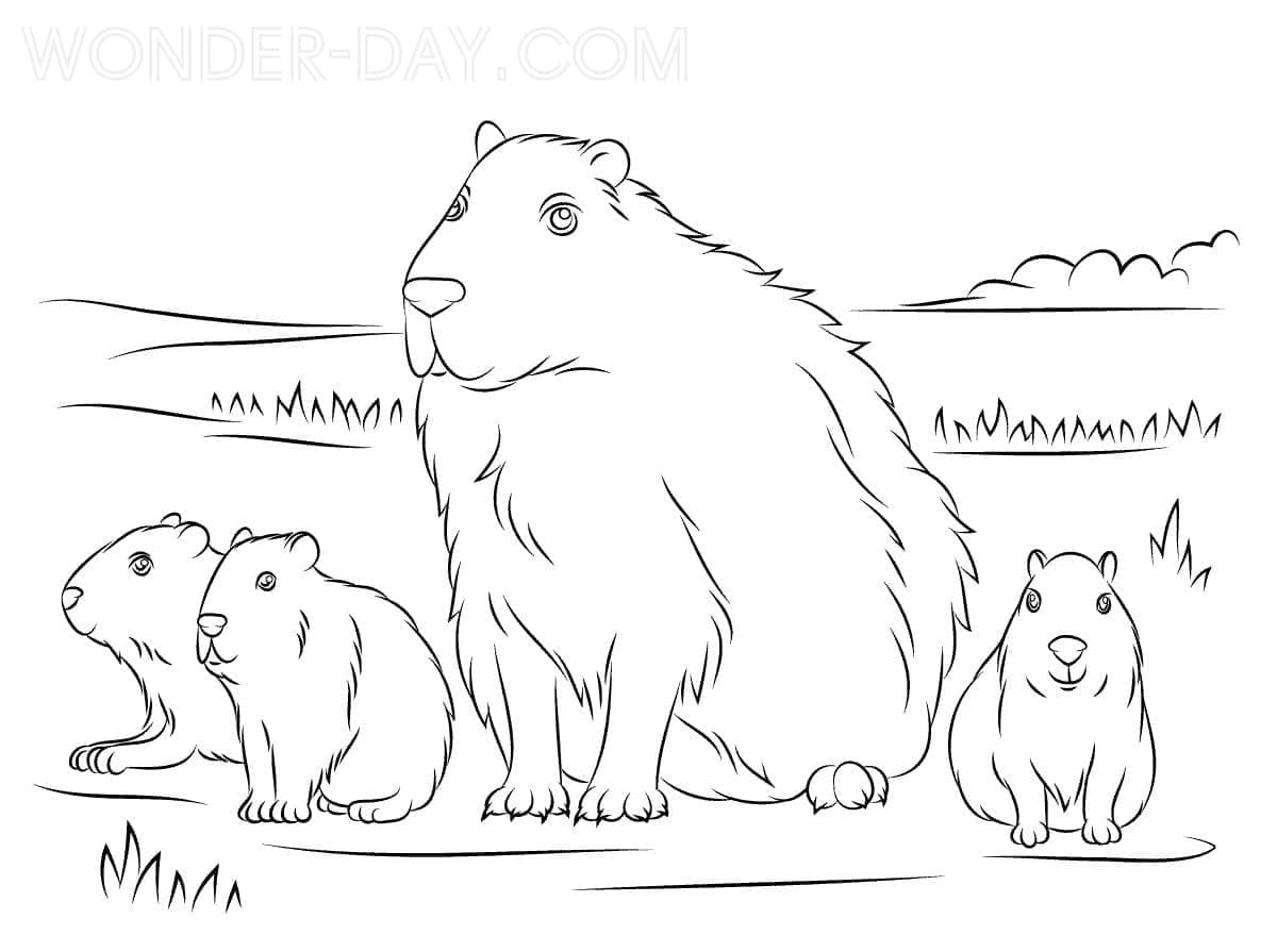 Coloriage Famille Capybara