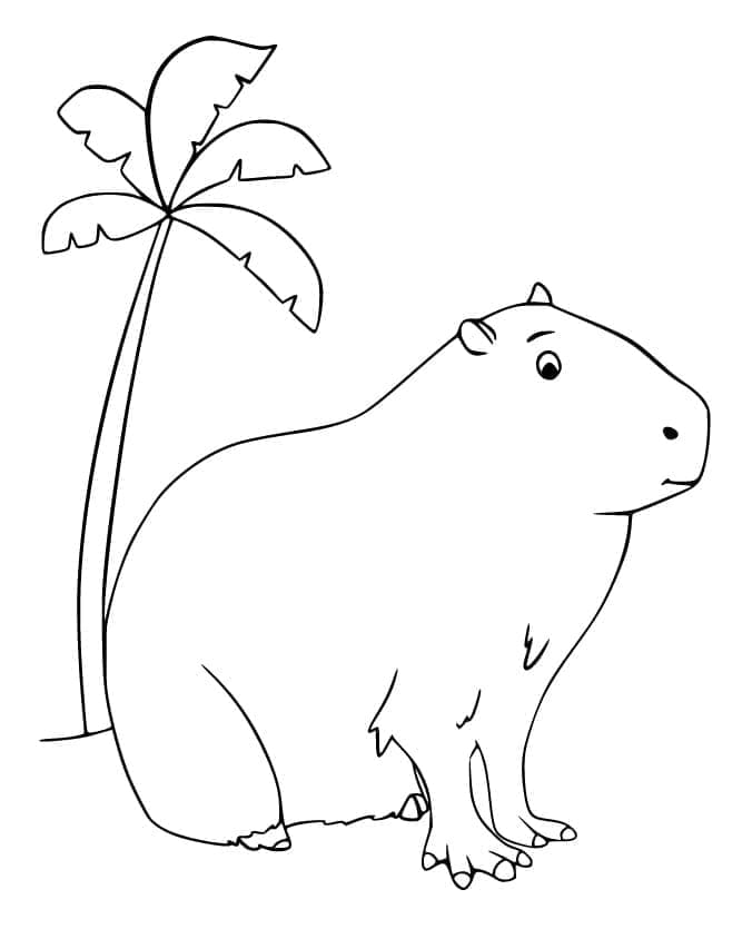 Coloriage Image de Capybara
