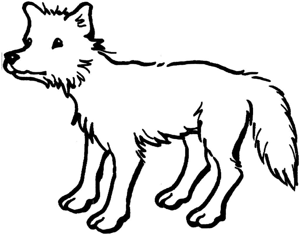 Image de Coyote coloring page