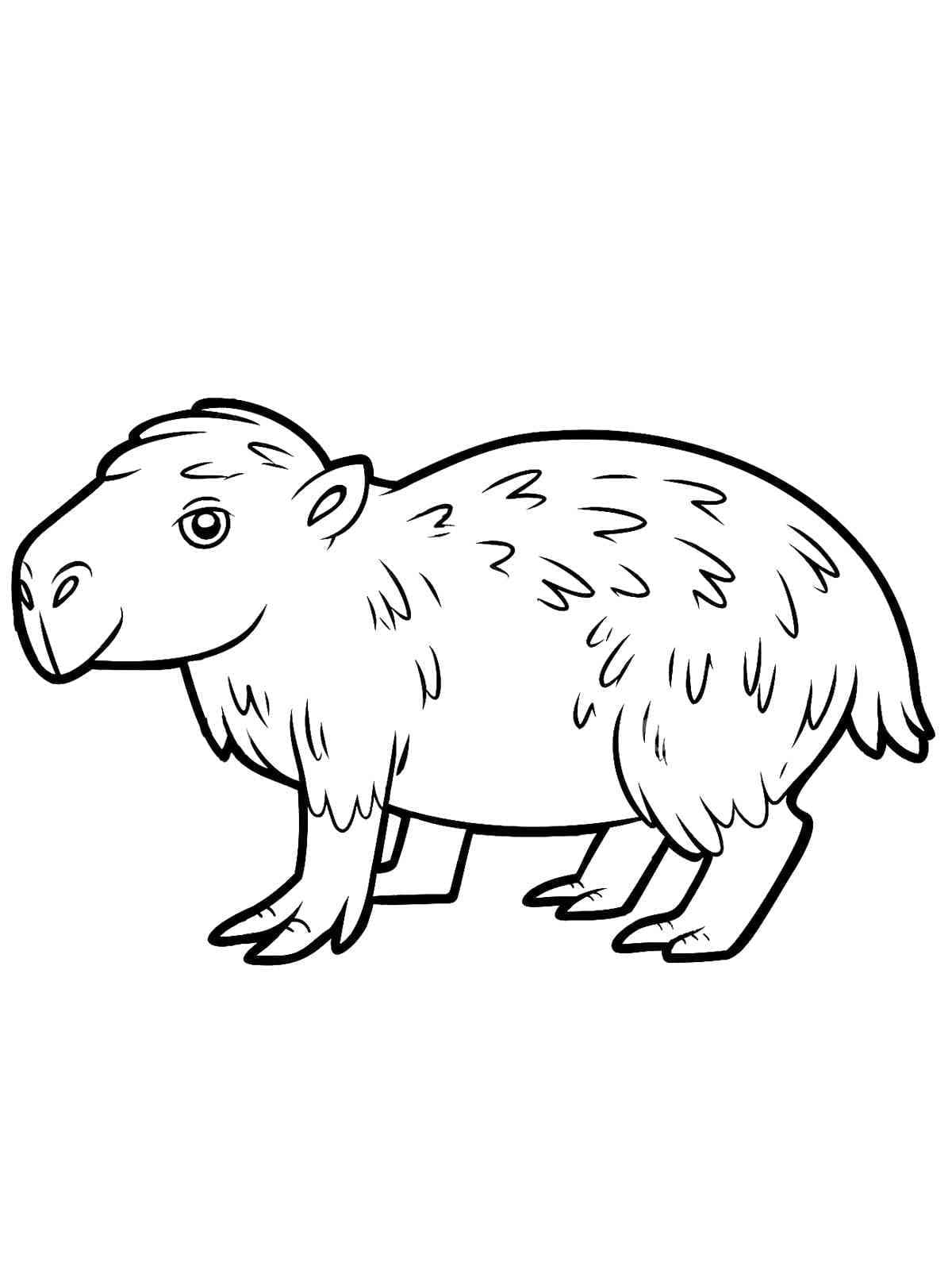 Joli Capybara coloring page