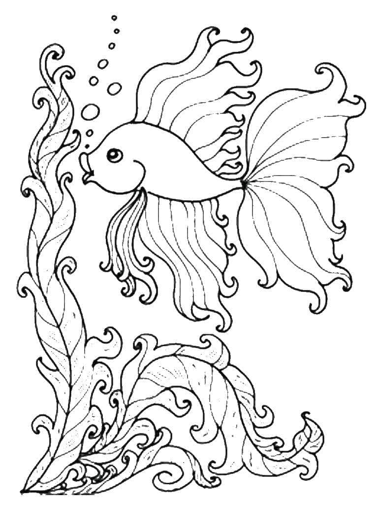 Joli Poisson Rouge coloring page