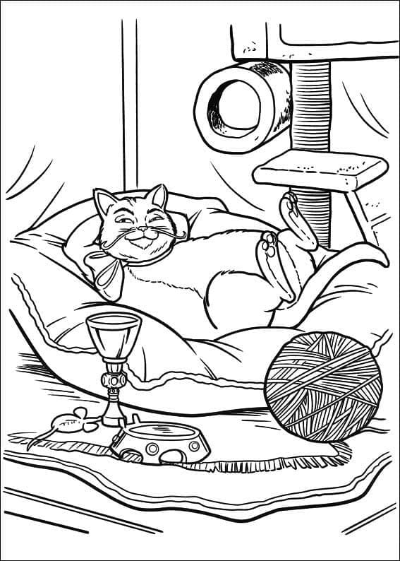 Le Chat Potté Drôle coloring page