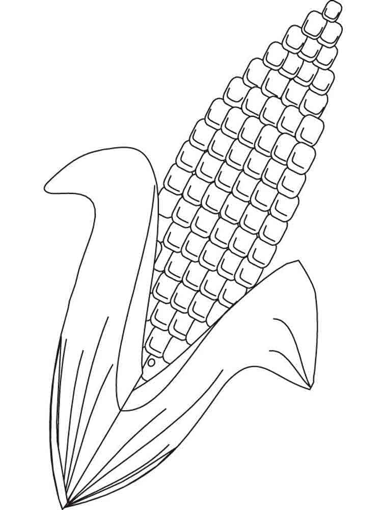 Coloriage Maïs 1