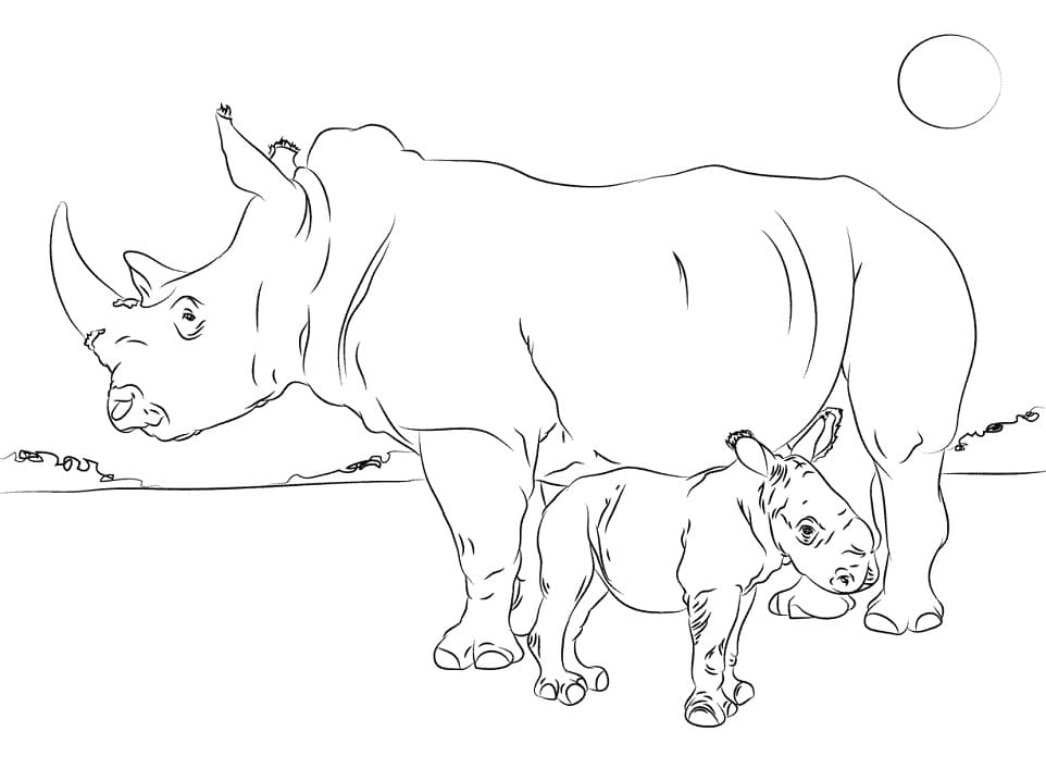 Coloriage Mère avec Bébé Rhinocéros