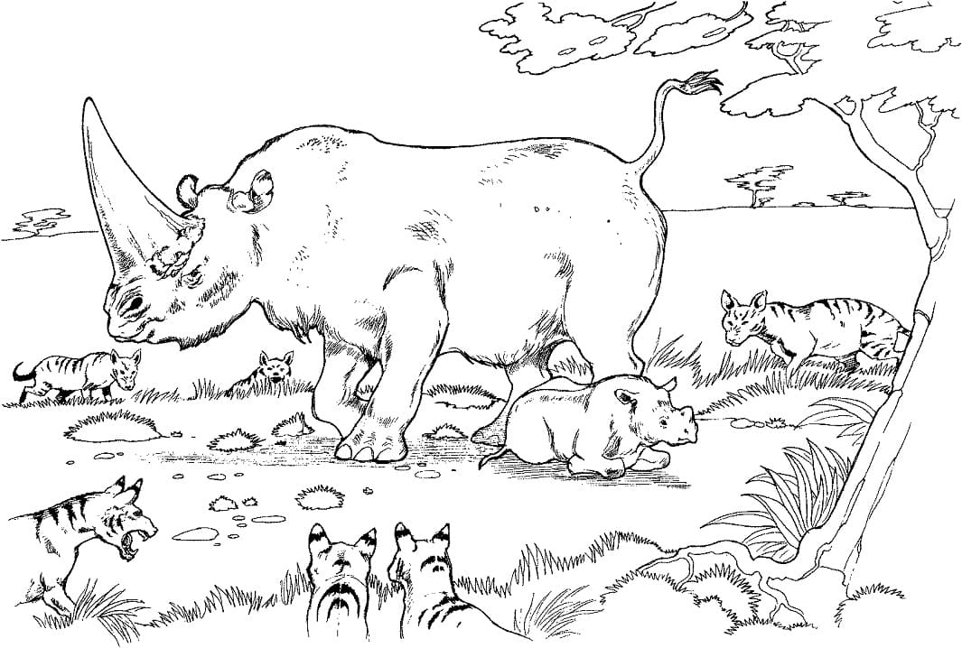 Coloriage Mère et Bébé Rhinocéros