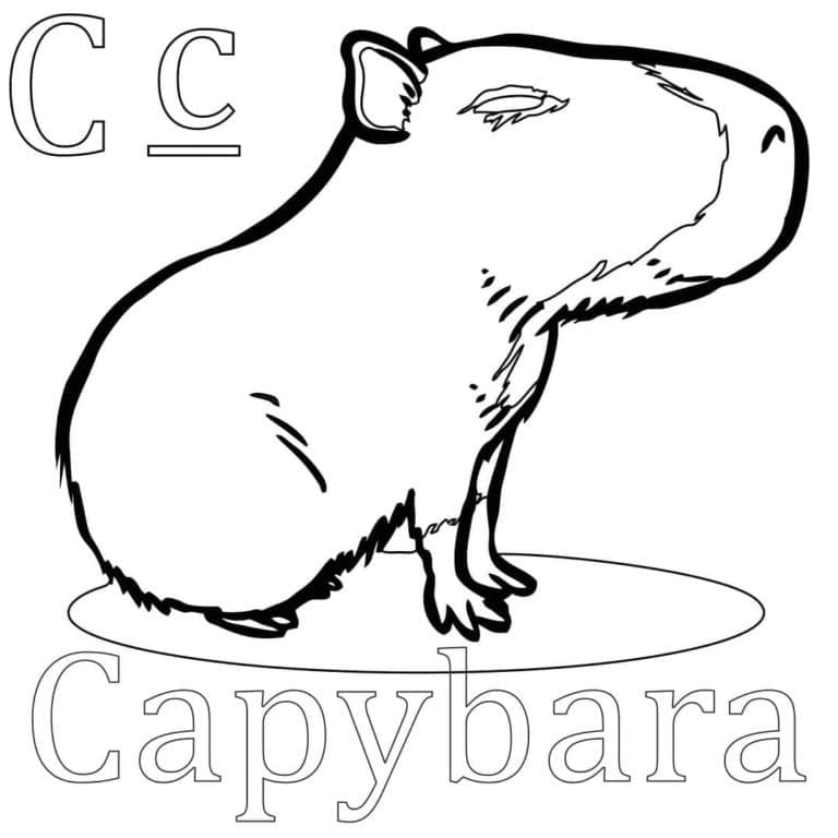 Petit Capybara coloring page