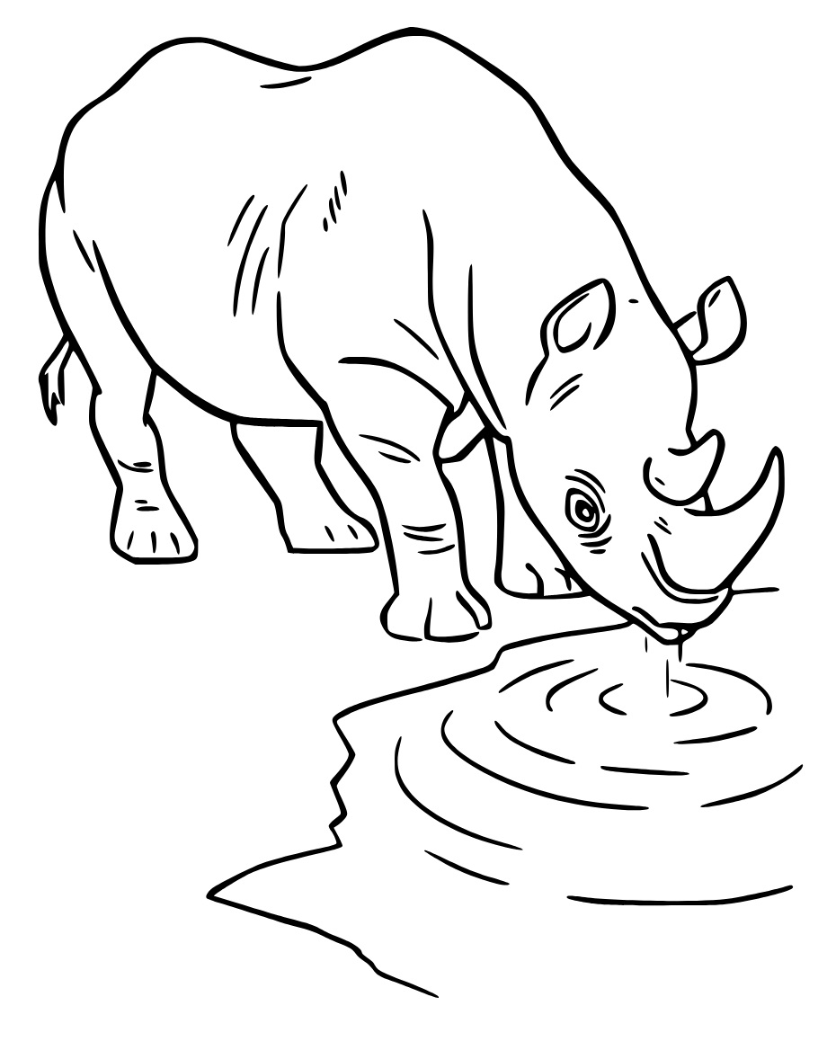 Rhino Boit de l’eau coloring page
