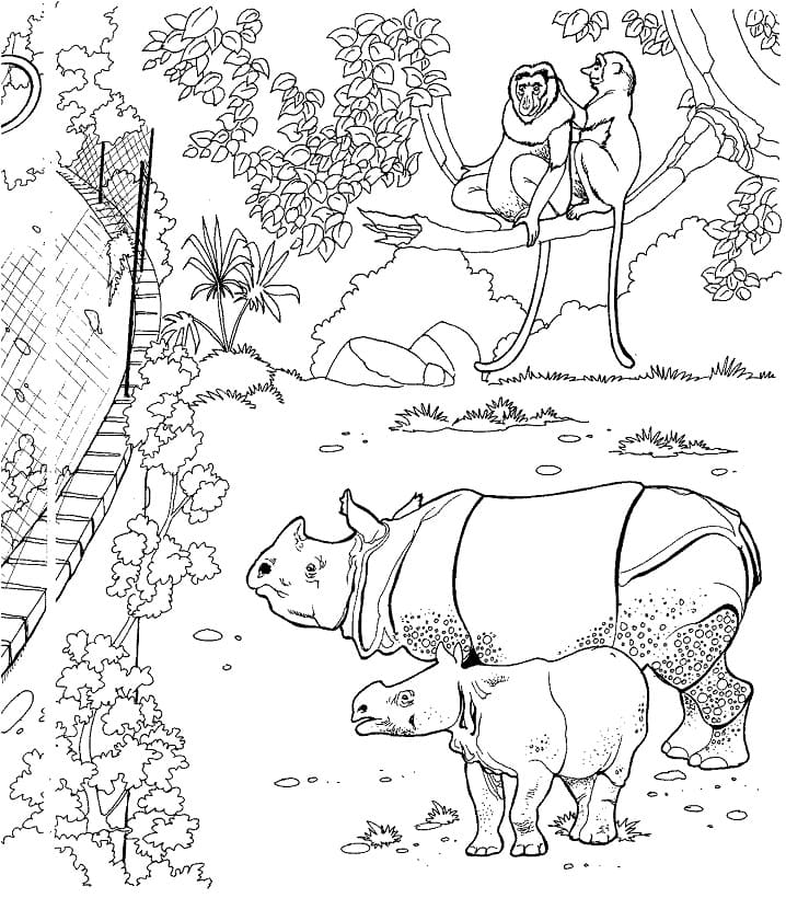 Rhinocéros au Zoo coloring page