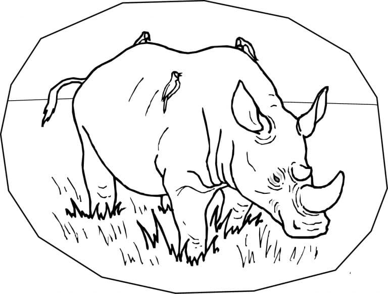 Coloriage Rhinocéros Gratuit Pour les Enfants ​